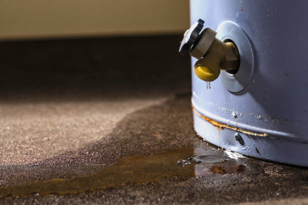 Best Fire Damage Restoration  in Lakeview, OH