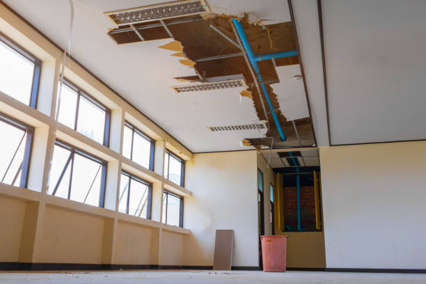 Best Commercial water damage restoration  in Lakeview, OH