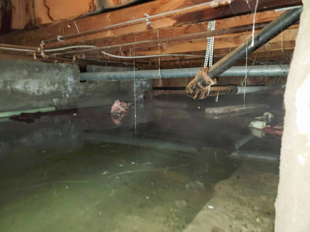 Best 24-hour water damage restoration  in Lakeview, OH