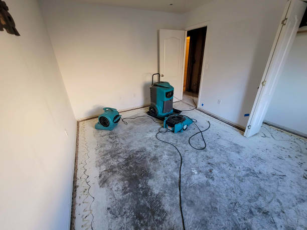 Best Water damage contractors near me  in Lakeview, OH