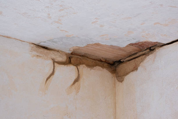Trusted Lakeview, OH Water damage restoration Experts