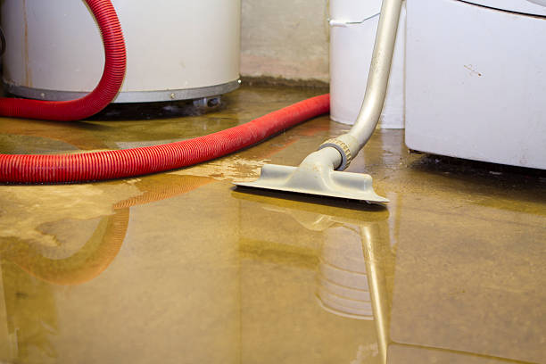 Best Residential water damage restoration  in Lakeview, OH