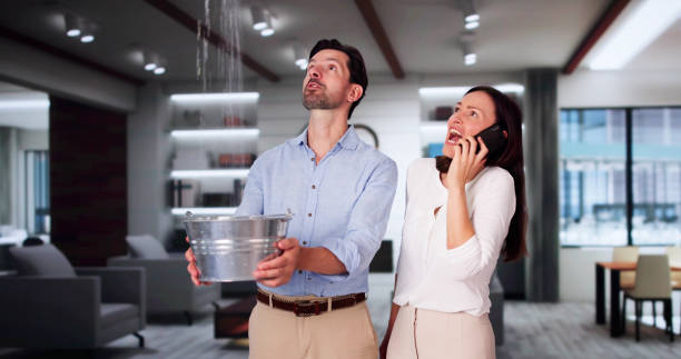 Best Flood restoration services  in Lakeview, OH