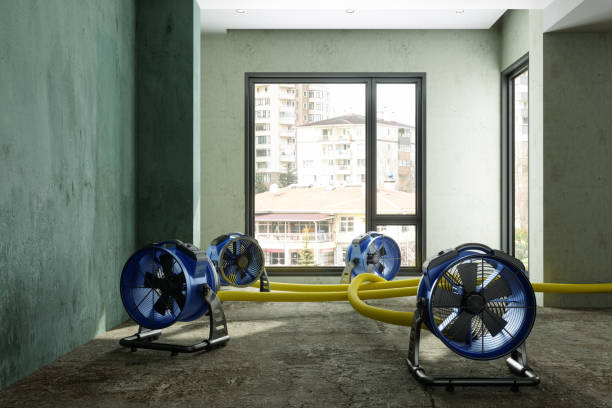 Best Fire Damage Restoration  in Lakeview, OH